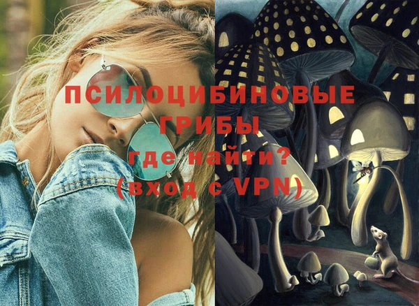 шишки Богданович