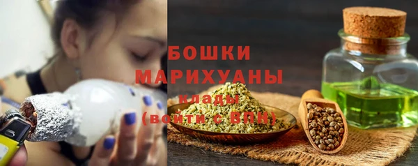 мдпв Богородицк