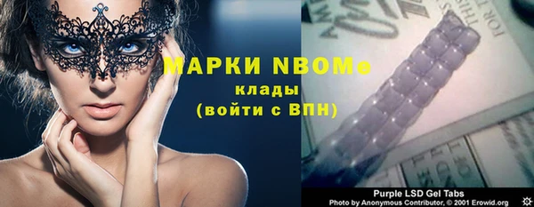 мдпв Богородицк