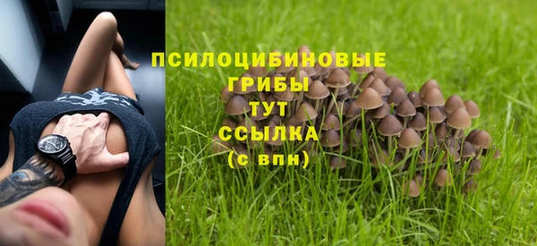 шишки Богданович