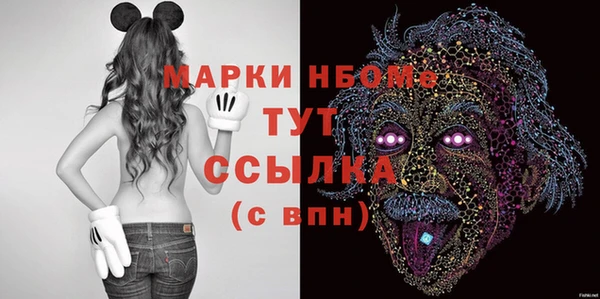 мдпв Богородицк
