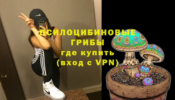 молекула духа Болотное