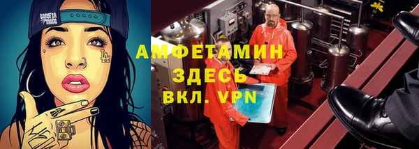 мдпв Богородицк