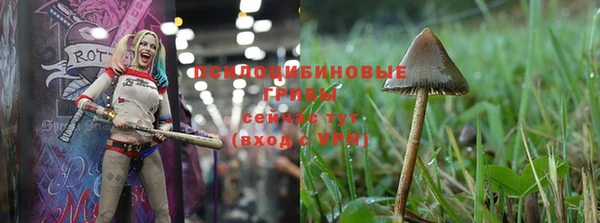 меф Беломорск