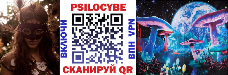 Галлюциногенные грибы Psilocybine cubensis  Няндома 